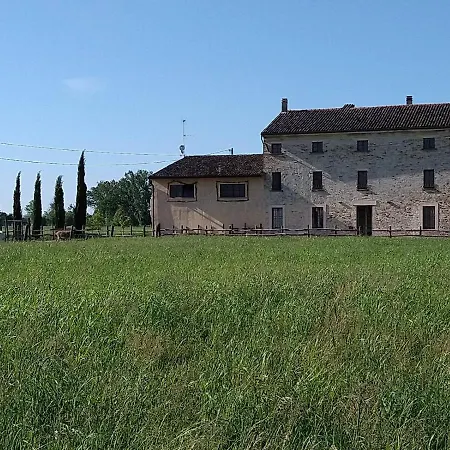Location San P 1 Daire